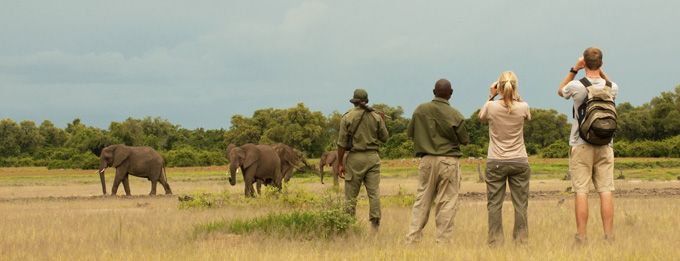 Tanzania Safari Tours